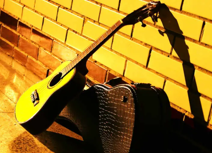 ukulele leaning against wall