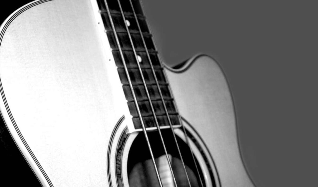 acoustic bass being displayed