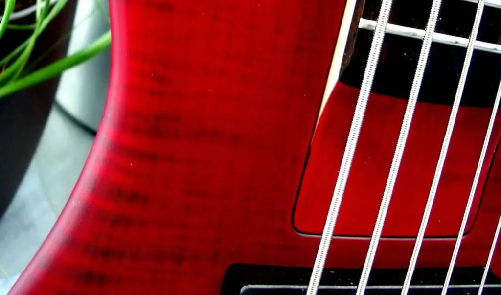 5-string bass close up of pickups