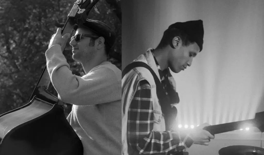 Double Bass vs Bass Guitar (every difference explained) BassOx