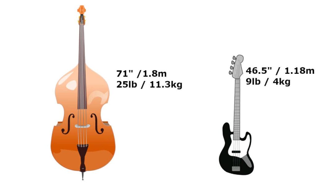 difference in size and length of double bass vs bass guitar