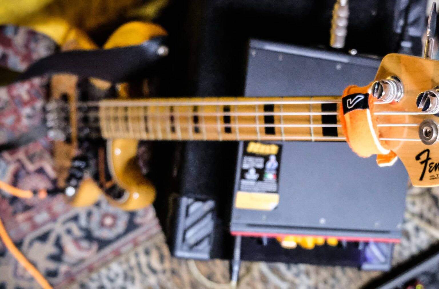 The Difference Between P And J Bass Pickups BassOx