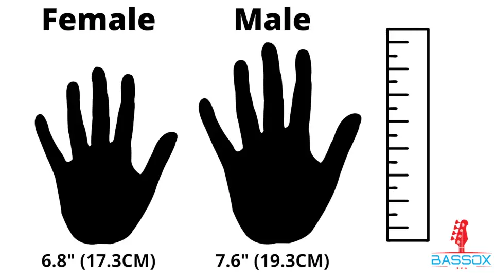 comparison of male and female hand sizes