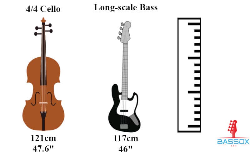 size comparison of cello and bass guitar