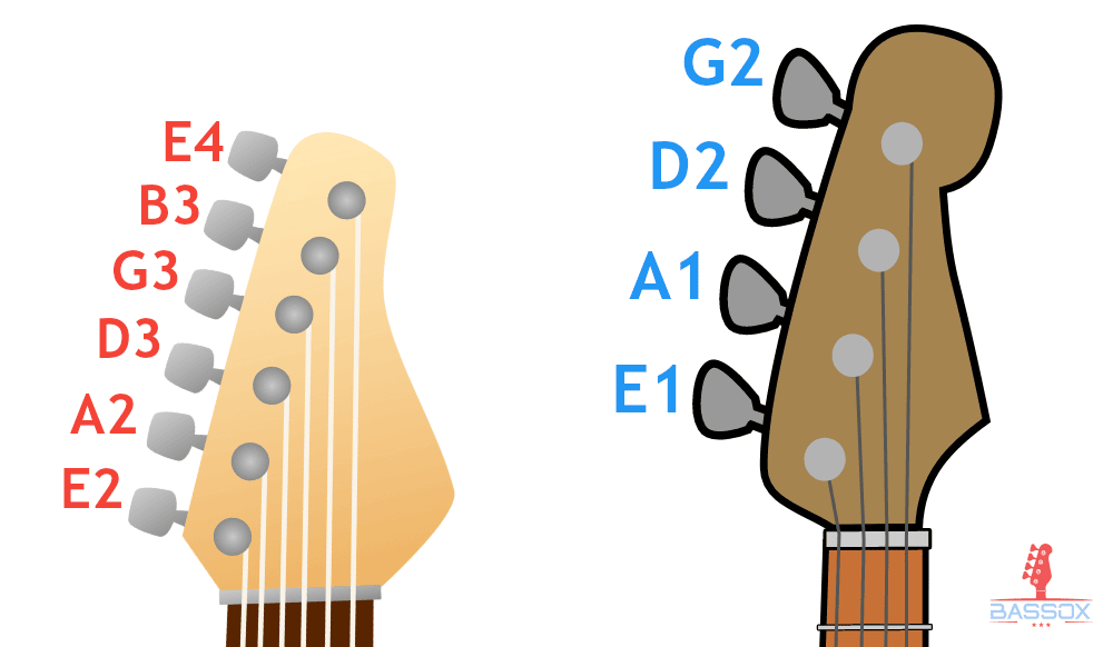 standard tuning comparison between a guitar and a bass