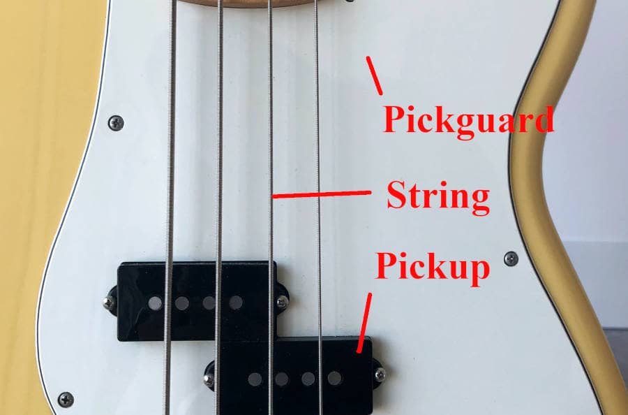 name of different parts of the bass guitar body