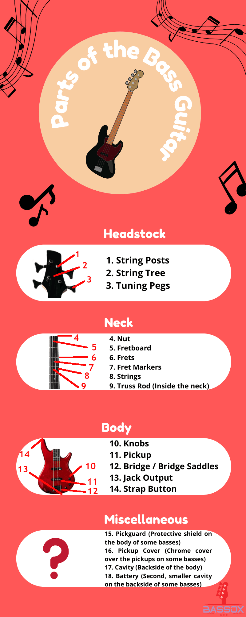 Parts Of A Bass Guitar (With Pictures & Infographic) BassOx