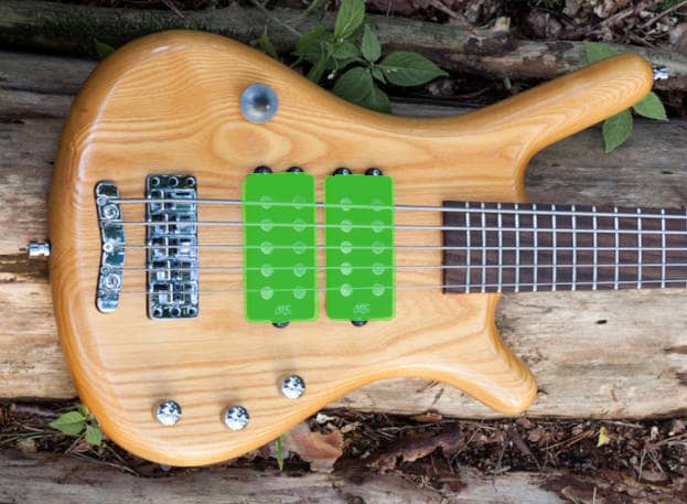 pickups highlighted on 5-string bass