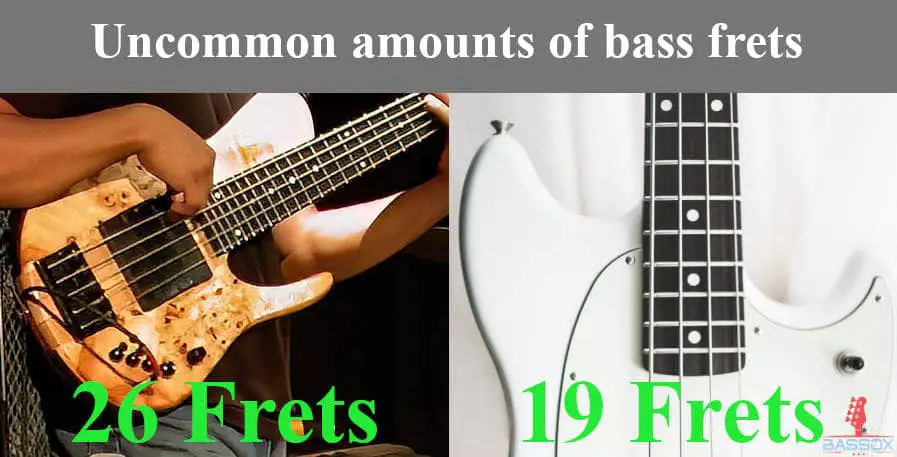 bass with 19 frets and bass with 26 frets displayed side by side