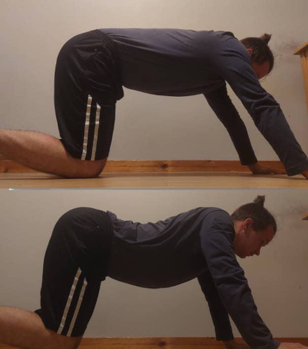 how to do the cat cow stretch exercise
