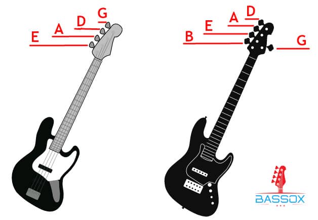 name of bass strings on a 4 and 5 string bass infographic