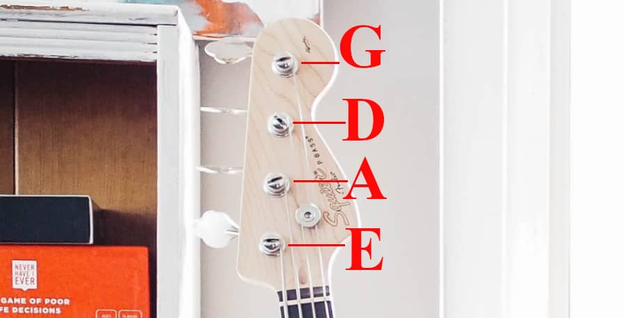 the name of the bass strings indictaed on a 4-string basses headstock