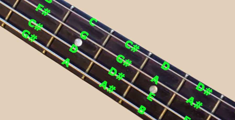 Bass guitar with the name of the notes charted on the fretboard