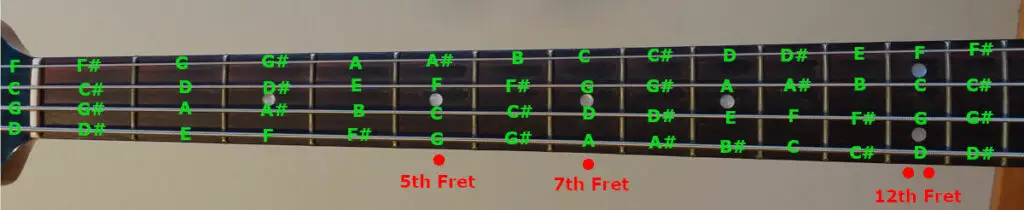 every note of a bass guitar in D standard tuning
