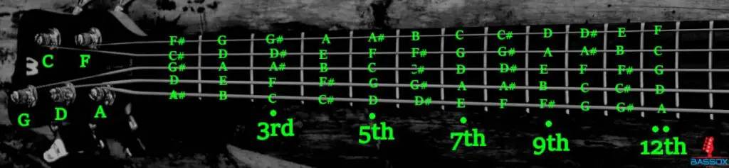 A Standard 5-string bass notes chart