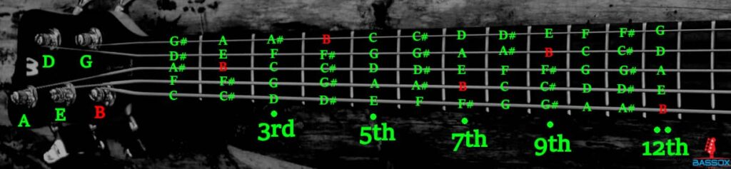 chart for where to find B octaves on a 5-string bass