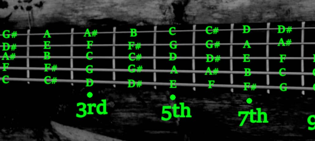 different notes on a 5-string bass neck graph