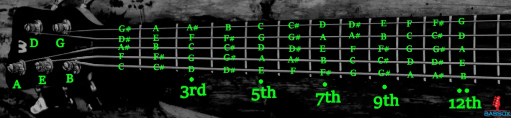 infographic chart showing the notes on a 5-string bass guitar