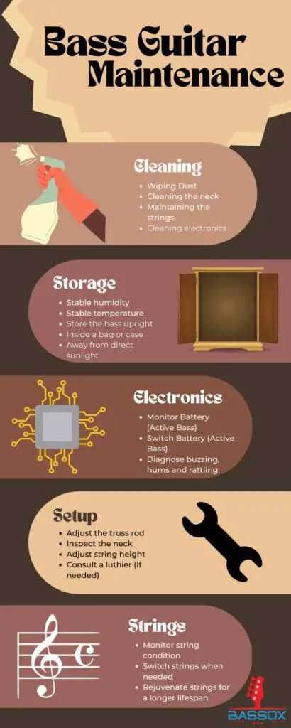 bass guitar maintenance infographic