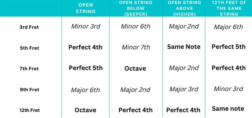 harmonic relations to other notes at the different frets of a bass guitar